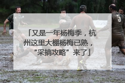 又是一年杨梅季，杭州这里大棚杨梅已熟，“采摘攻略”来了
