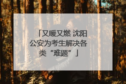 又暖又燃 沈阳公安为考生解决各类“难题”