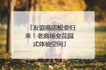 友谊商店蜕变归来！老商场变花园式体验空间