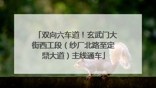 双向六车道！玄武门大街西工段（纱厂北路至定鼎大道）主线通车