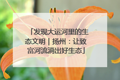 发现大运河里的生态文明｜扬州：让致富河流淌出好生态