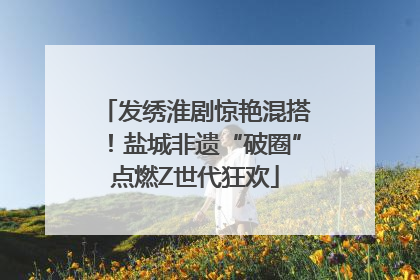 发绣淮剧惊艳混搭！盐城非遗“破圈”点燃Z世代狂欢