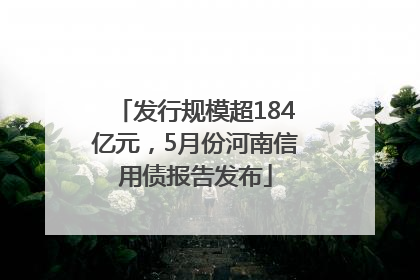 发行规模超184亿元，5月份河南信用债报告发布