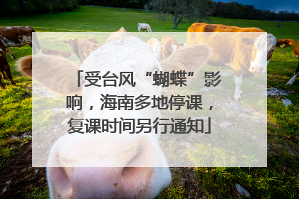 受台风“蝴蝶”影响，海南多地停课，复课时间另行通知