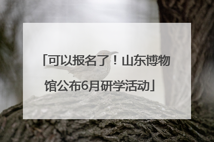 可以报名了！山东博物馆公布6月研学活动