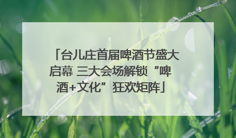 台儿庄首届啤酒节盛大启幕 三大会场解锁“啤酒+文化”狂欢矩阵