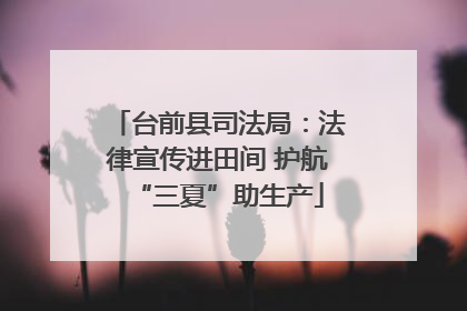 台前县司法局：法律宣传进田间 护航“三夏”助生产