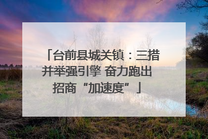 台前县城关镇：三措并举强引擎 奋力跑出招商“加速度”