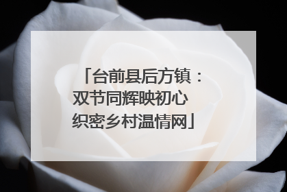 台前县后方镇：双节同辉映初心 织密乡村温情网