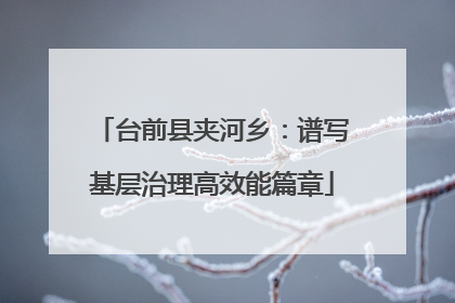 台前县夹河乡：谱写基层治理高效能篇章
