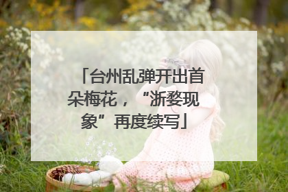 台州乱弹开出首朵梅花，“浙婺现象”再度续写