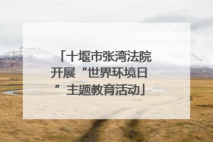 十堰市张湾法院开展“世界环境日”主题教育活动
