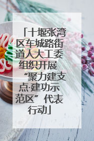 十堰张湾区车城路街道人大工委组织开展 “聚力建支点·建功示范区”代表行动