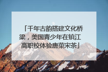 千年古韵搭建文化桥梁，美国青少年在镇江高职校体验唐菓宋茶