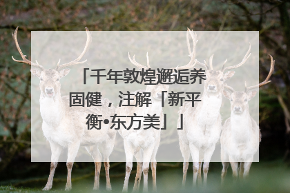 千年敦煌邂逅养固健，注解「新平衡•东方美」