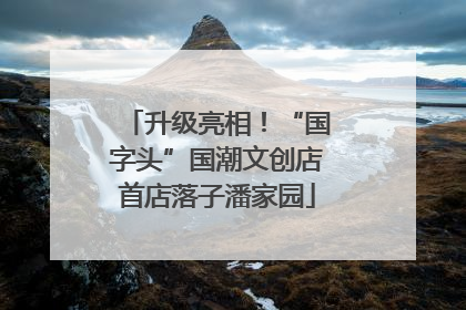 升级亮相！“国字头”国潮文创店首店落子潘家园