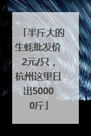 半斤大的生蚝批发价2元/只，杭州这里日出50000斤
