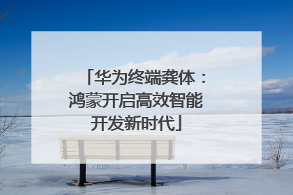 华为终端龚体：鸿蒙开启高效智能开发新时代