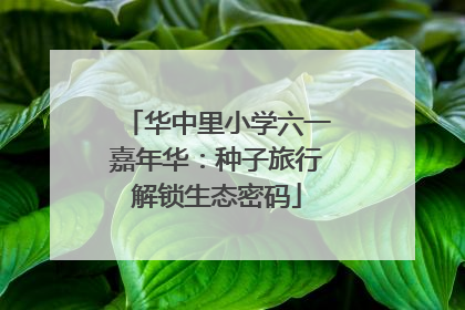 华中里小学六一嘉年华：种子旅行解锁生态密码