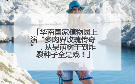 华南国家植物园上演“多肉界玫瑰传奇”，从呆萌树干到炸裂种子全是戏！