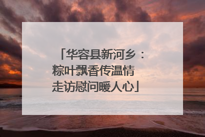 华容县新河乡：粽叶飘香传温情 走访慰问暖人心