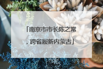 南京市市长陈之常，跨省履新内蒙古