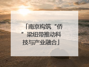 南京构筑“侨”梁纽带推动科技与产业融合