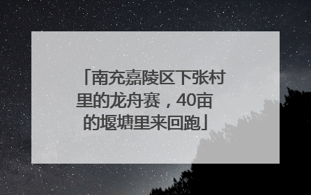 南充嘉陵区下张村里的龙舟赛，40亩的堰塘里来回跑