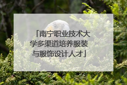 南宁职业技术大学多渠道培养服装与服饰设计人才