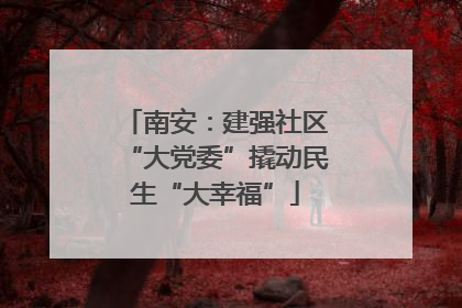 南安：建强社区“大党委”撬动民生“大幸福”