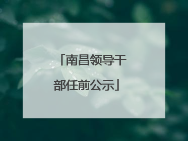南昌领导干部任前公示