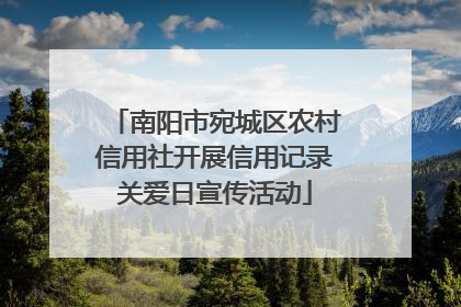 南阳市宛城区农村信用社开展信用记录关爱日宣传活动
