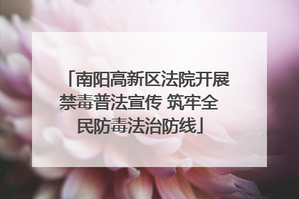 南阳高新区法院开展禁毒普法宣传 筑牢全民防毒法治防线
