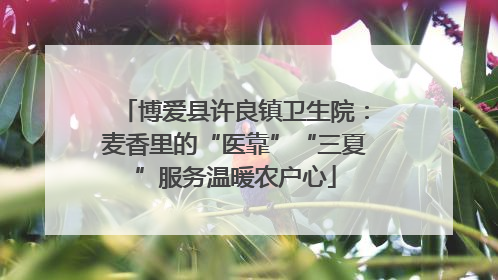 博爱县许良镇卫生院：麦香里的“医靠”“三夏”服务温暖农户心