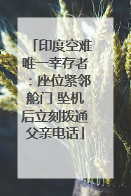 印度空难唯一幸存者：座位紧邻舱门 坠机后立刻拨通父亲电话