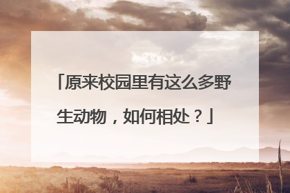 原来校园里有这么多野生动物，如何相处？