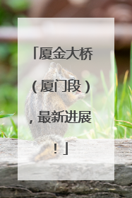 厦金大桥（厦门段），最新进展！