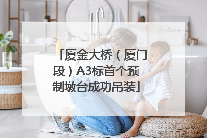 厦金大桥（厦门段）A3标首个预制墩台成功吊装