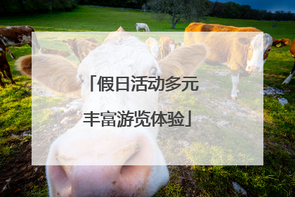 假日活动多元 丰富游览体验