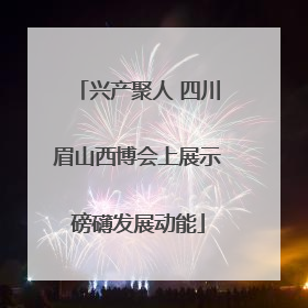 兴产聚人 四川眉山西博会上展示磅礴发展动能