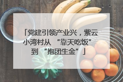 党建引领产业兴，紫云小湾村从 “靠天吃饭” 到 “抱团生金”