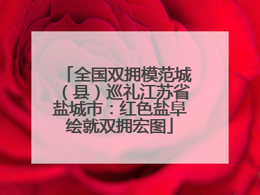 全国双拥模范城（县）巡礼江苏省盐城市：红色盐阜绘就双拥宏图