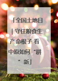 全国土地日｜守住粮食生产命根子 看中原如何“耕”新