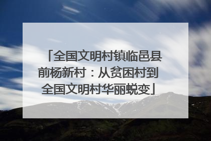 全国文明村镇临邑县前杨新村：从贫困村到全国文明村华丽蜕变