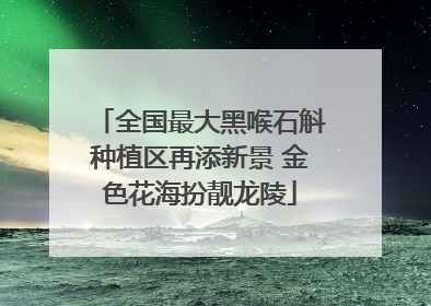 全国最大黑喉石斛种植区再添新景 金色花海扮靓龙陵