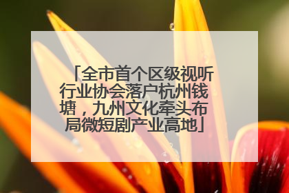 全市首个区级视听行业协会落户杭州钱塘，九州文化牵头布局微短剧产业高地