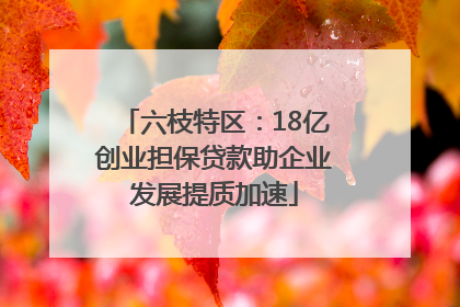 六枝特区：18亿创业担保贷款助企业发展提质加速