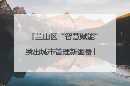 兰山区“智慧赋能”绣出城市管理新图景
