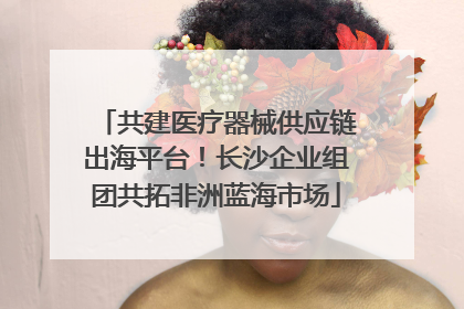 共建医疗器械供应链出海平台！长沙企业组团共拓非洲蓝海市场