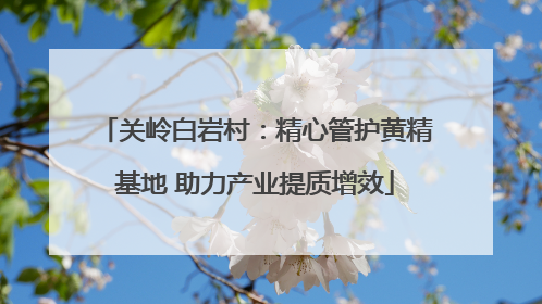 关岭白岩村：精心管护黄精基地 助力产业提质增效